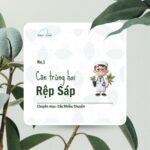 Côn trùng hại – Rệp sáp