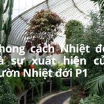 Phong cách của một khu vườn – Số 2: Phong cách Nhiệt đới và sự xuất hiện của vườn Nhiệt đới P1