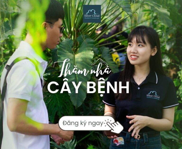 Thăm nhà cây bệnh Thăm nhà cây bệnh